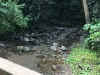 IMG_5174 copy